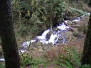 Waukeena Mult Falls 11.26.05 058 